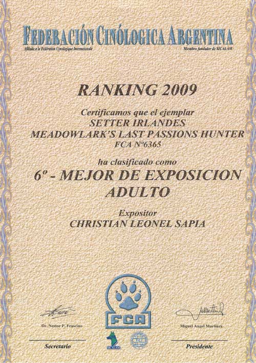 Ranking Mejor de Exposicion