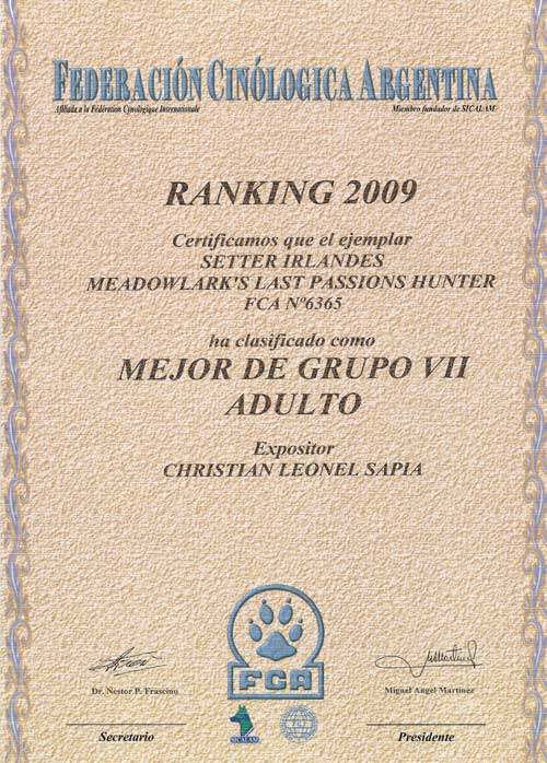 Mejor de Grupo