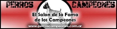 perros campeones