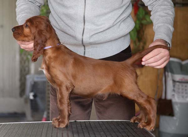 Max