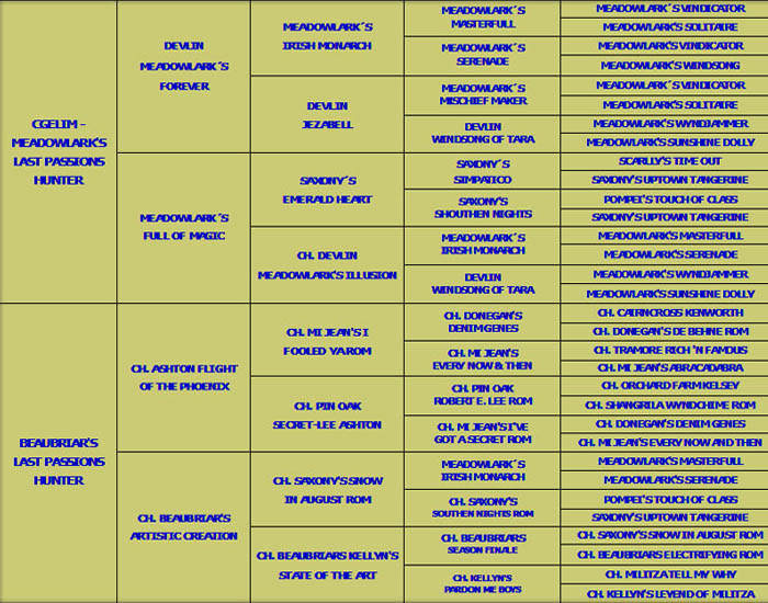 Pedigree Steffi