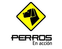 Perros a la Vista
